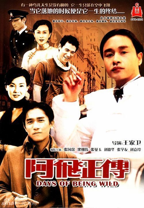 佛罗里达大学设计学位证
